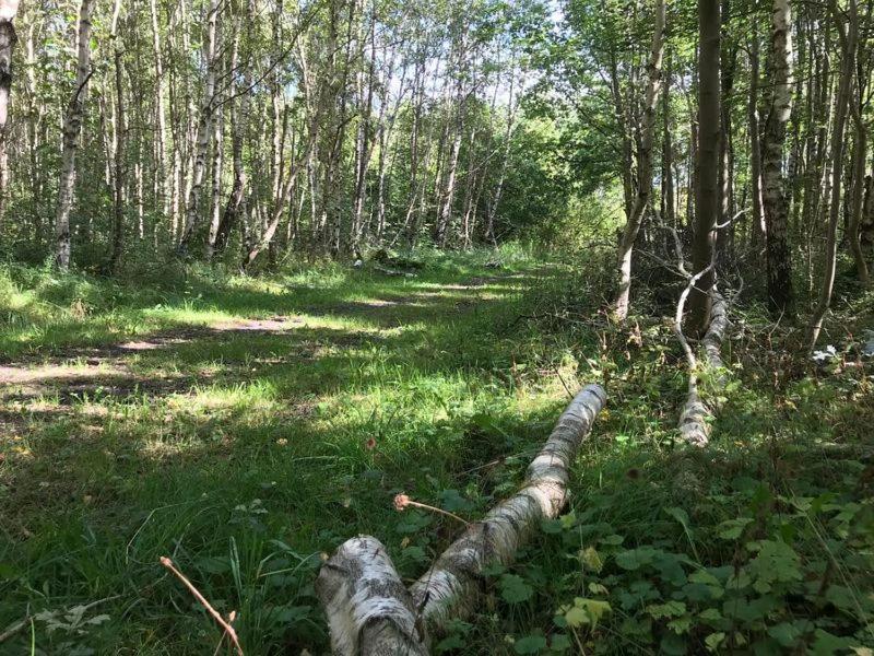 Enjoy Natur, Und Lauwersoog- 1-6 Pers- 3 Slaapkamers -2 Badkamers-vanaf 14u Al Inchecken! Lauwersoog